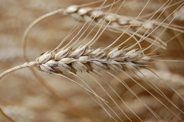 Наші пріоритети